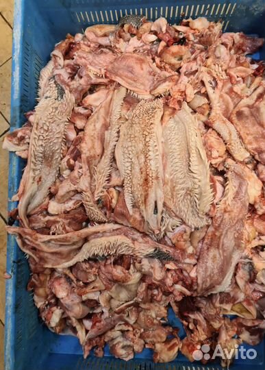 Обрезь голов говяжьих