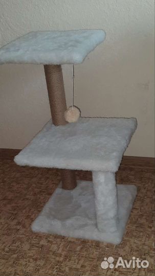 Когтеточка