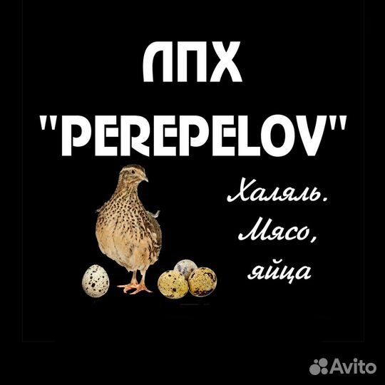 Перепела, мясо, яйца