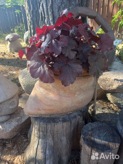 Ваза для флорариума