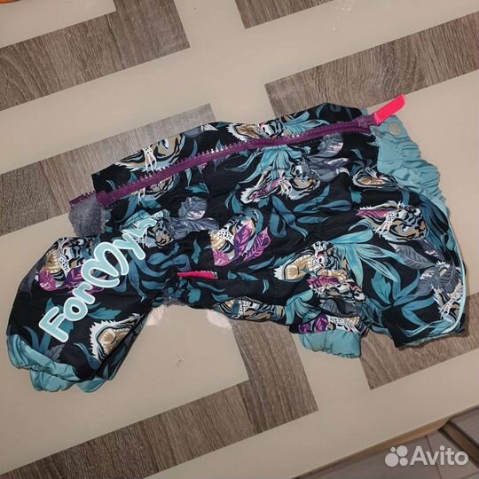 Одежда для собак