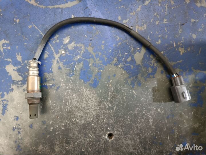 Датчик кислорода wish