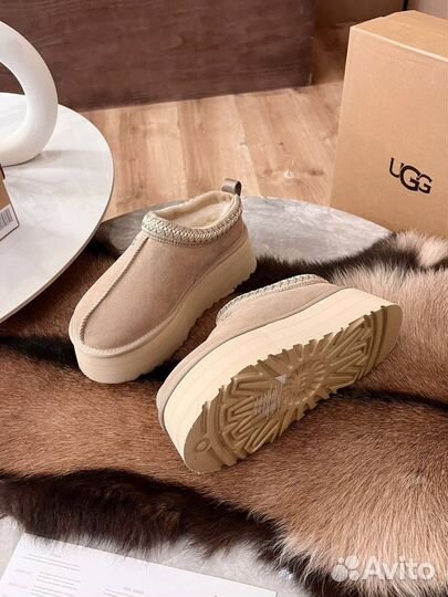 Слипперы Ugg Tazz Platform (36-41)