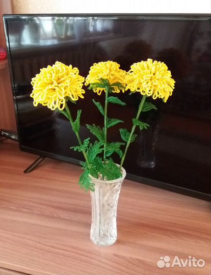 Хризантемы