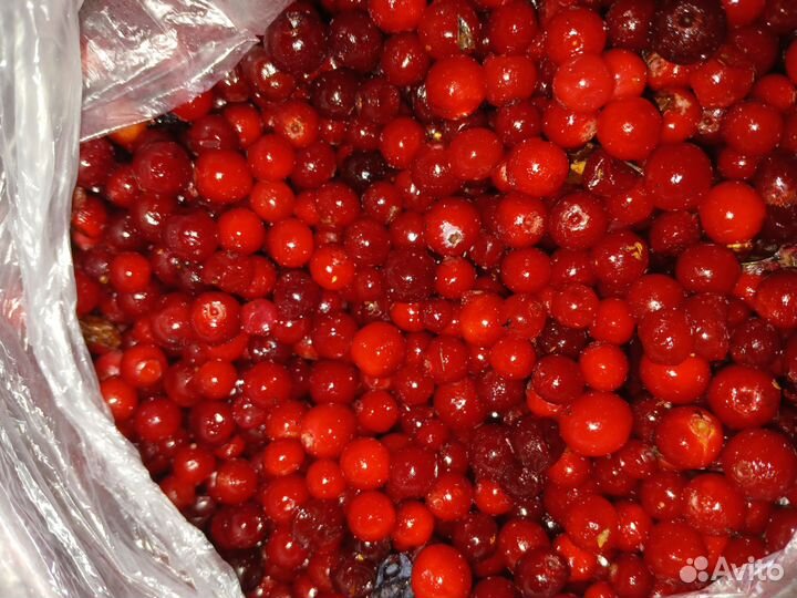 Замороженные ягоды