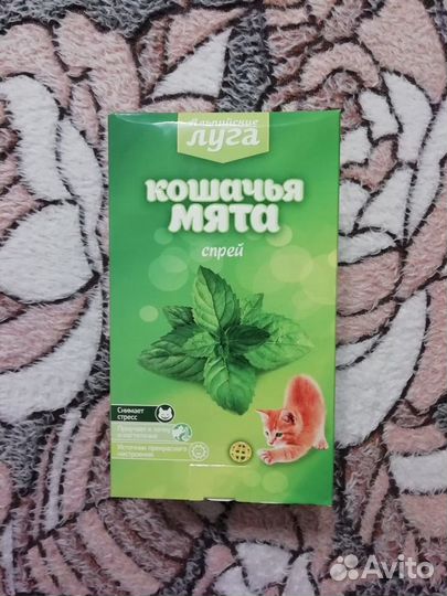 Кошачья мята