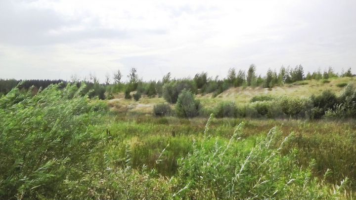 Участок 9,86 га (ИЖС)