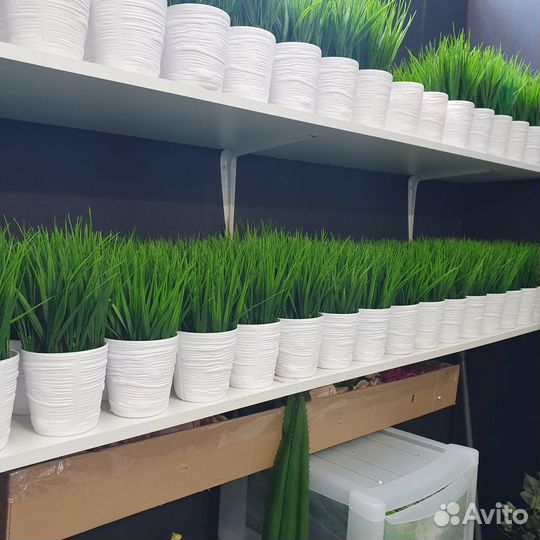 Искусственная зелень, деревья, коврики(в наличии)