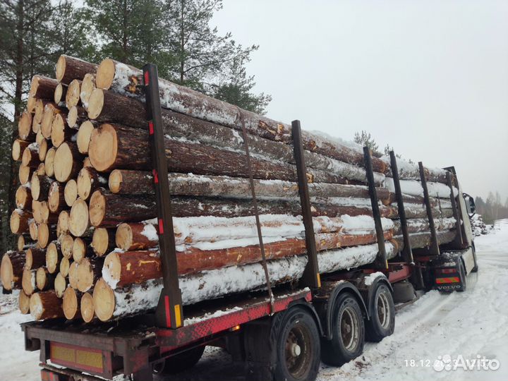 Пиловочник Деловой