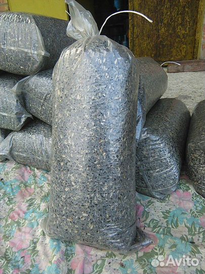 Грибные блоки вешенки