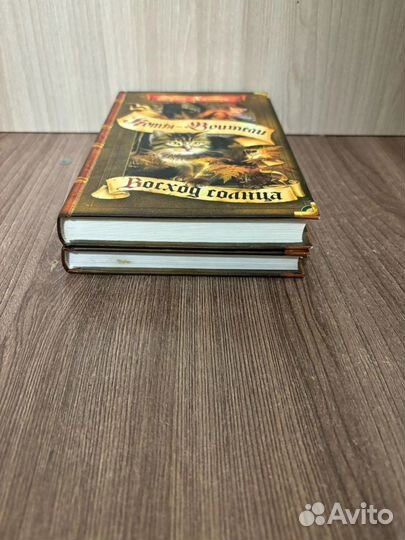 Эрин Хантер. Коты воители