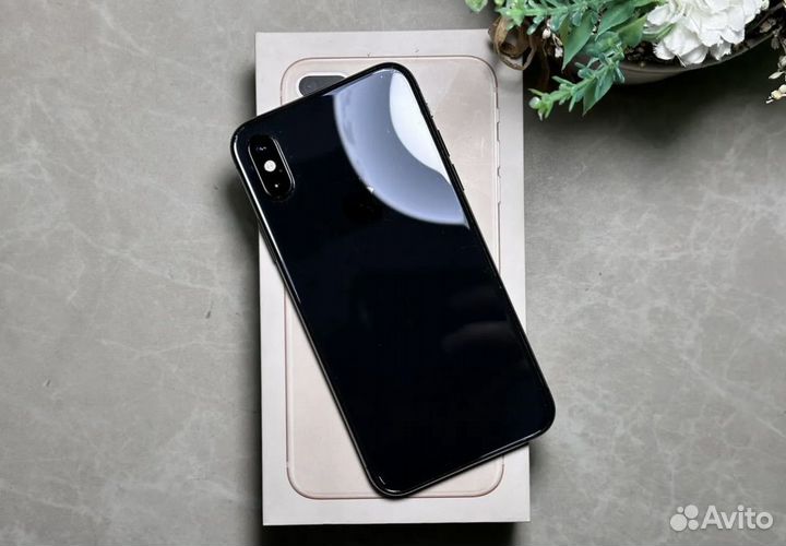 iPhone X, 256 ГБ