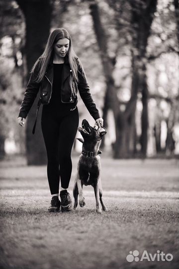 Услуги кинолога