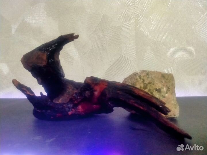 Коряга в аквариум