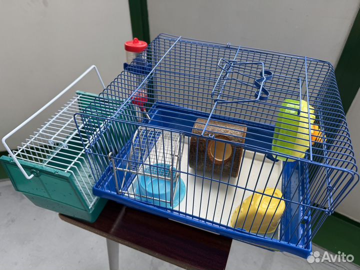 Клетка для джунгарского хомяка