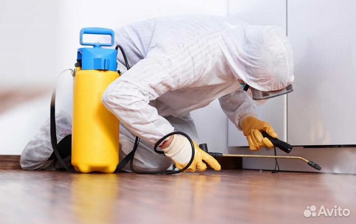 Дезинфекция от клопов, тараканов, муравьёв