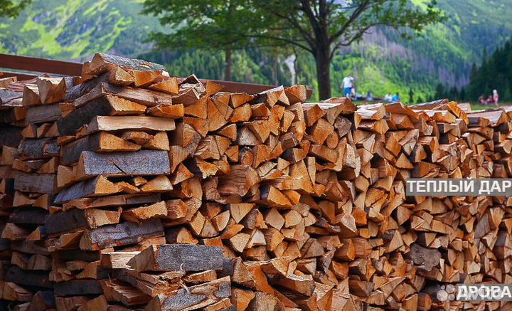Дрова сухие