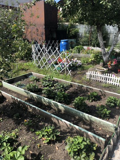 Дача 42 м² на участке 4 сот.