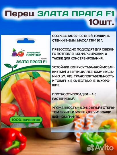 Рассада помидор