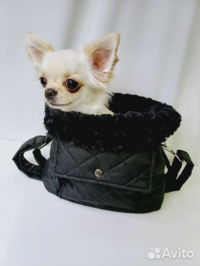 Сумки переноски для собак и кошек