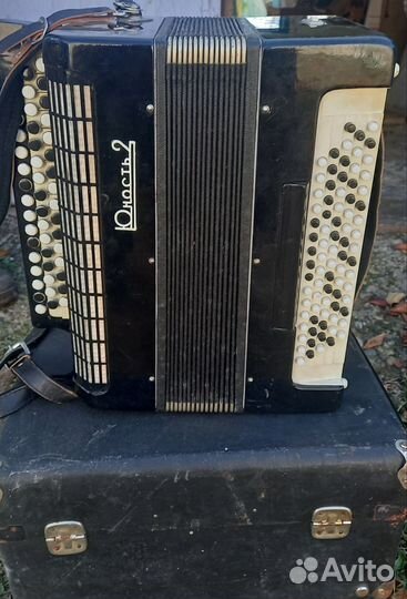 Баян юность2