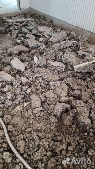 Бетоный бой бесплатно