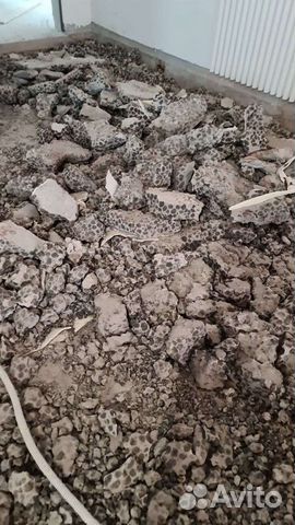 Бетоный бой бесплатно