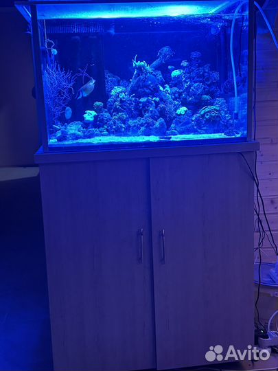 Морской аквариум с сампом