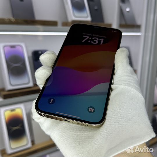 iPhone 12 Pro Max, 256 ГБ