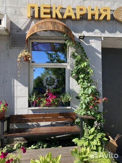 Пекарь кондитер