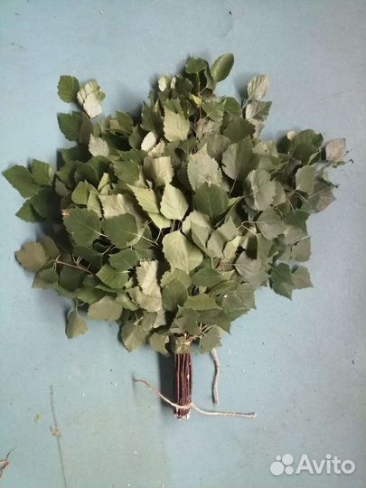 Березовые веники для бани