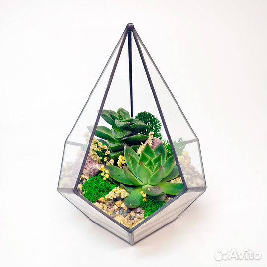 Флорариум с суккулентами 