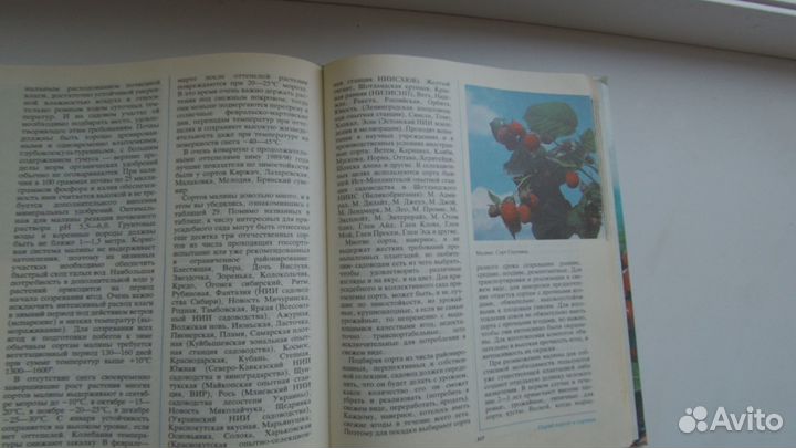 Книга. Ваш сад.Ярославцев.Е.И. 1991