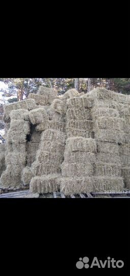 Сено в рулонах и тюках