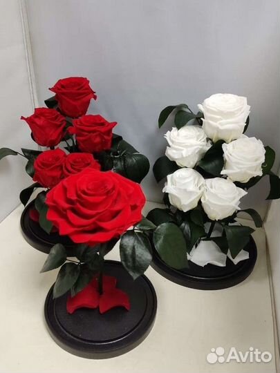 Подарок на новый год/ Роза в колбе