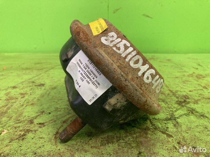 Торм камера MAN TGA