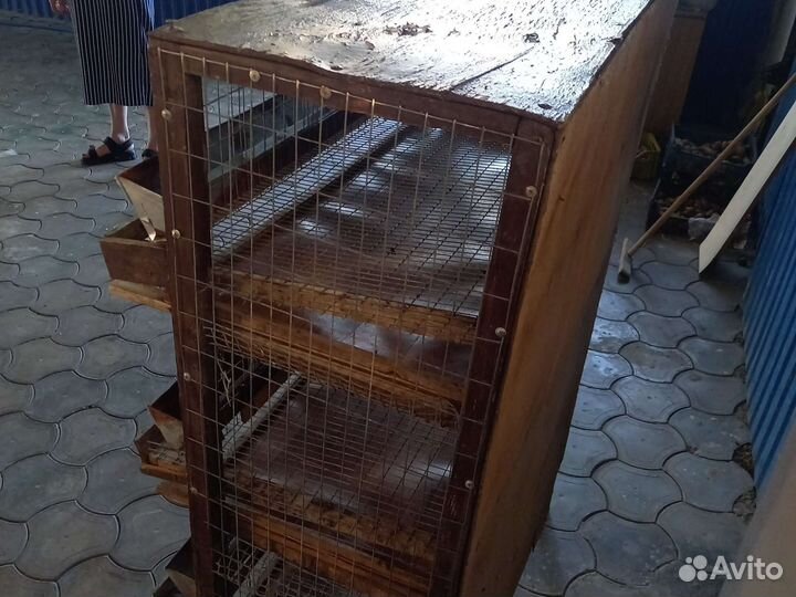 Клетки для перепелов бу