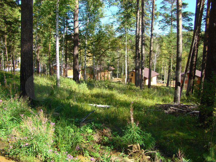 Участок 7,6 сот. (СНТ, ДНП)