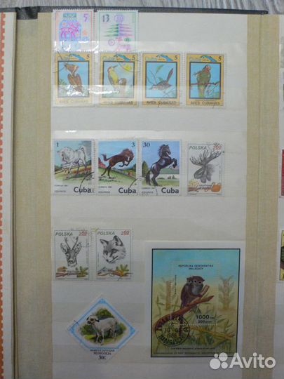 Марки про Животных (70 шт) +(18 шт про природу)