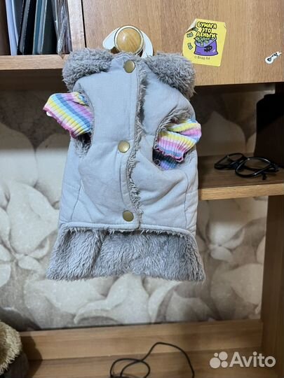 Одежду для собак