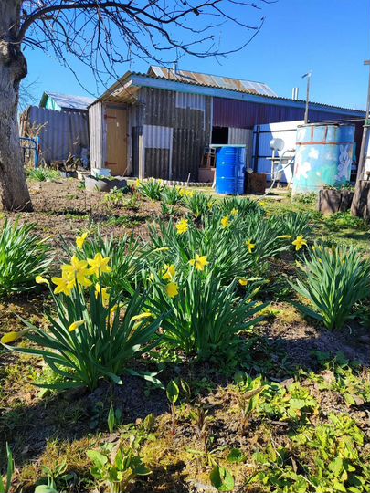 Дом 57 м² на участке 40 сот.