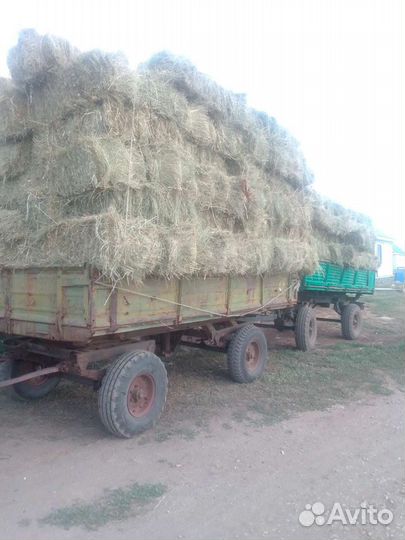 Сено в тюках