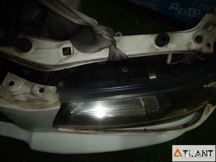 Nose cut subaru forester