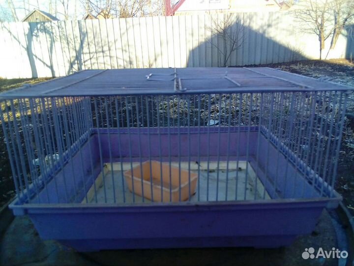 Клетка