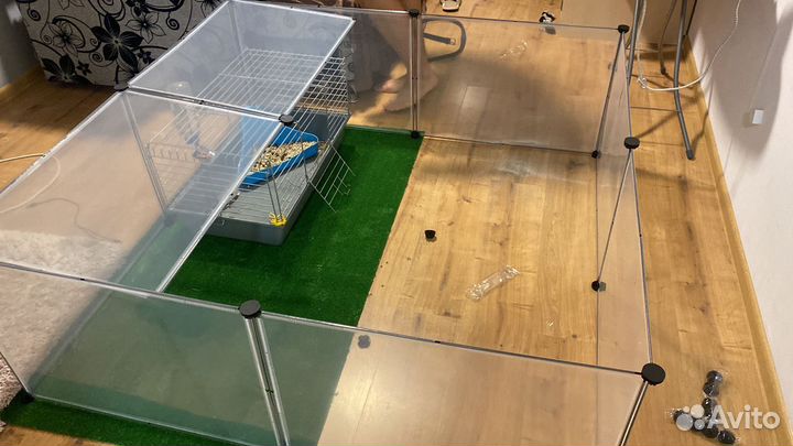 Декоративный кролик самец с клеткой, вольером