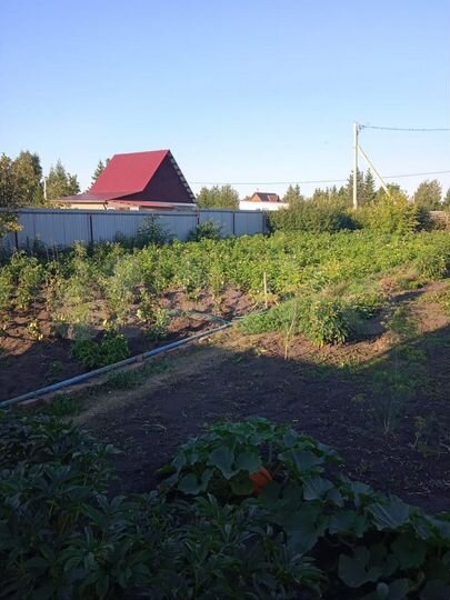 Дача 12 м² на участке 7,3 сот.