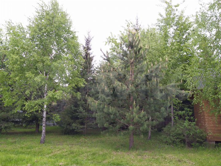 Дача 25 м² на участке 8 сот.