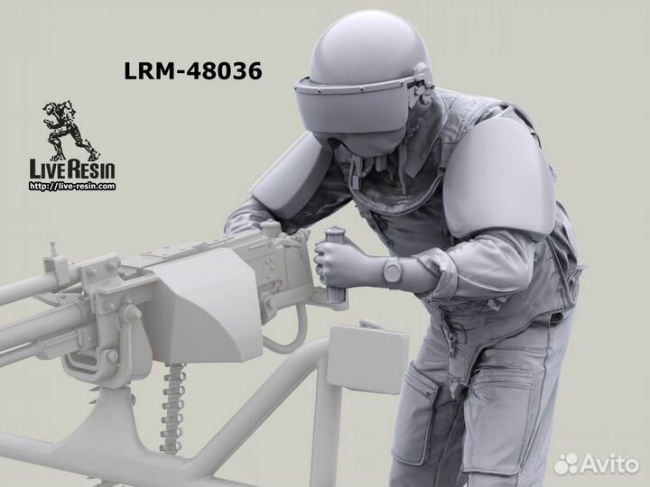 Миниатюра Live Resin LRM48036