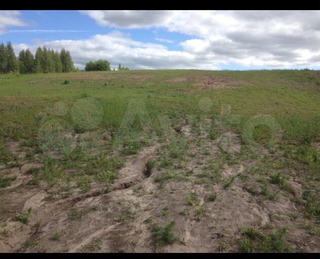 Участок 1,3 га (СНТ, ДНП)