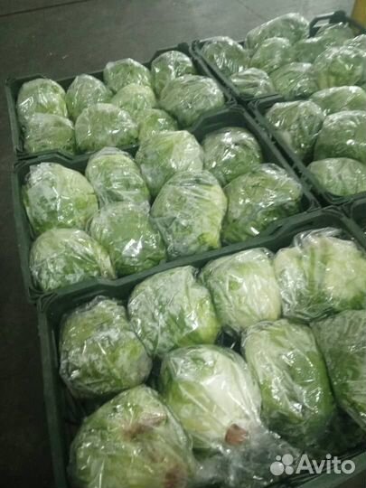 Айсберг салат